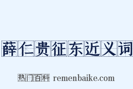 薛仁贵征东近义词是什么意思的图片